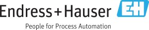 Logo_PT Endress+Hauser Indonesia (2)